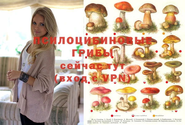 кокаин премиум Вязники