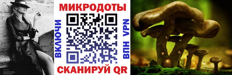Галлюциногенные грибы мицелий  Купить где  Сольвычегодск 